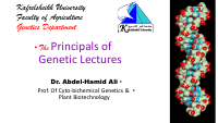 lecture 4 genetics.pdf